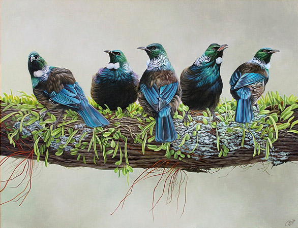 Craig Platt NZ bird artist, oil painting, Tui